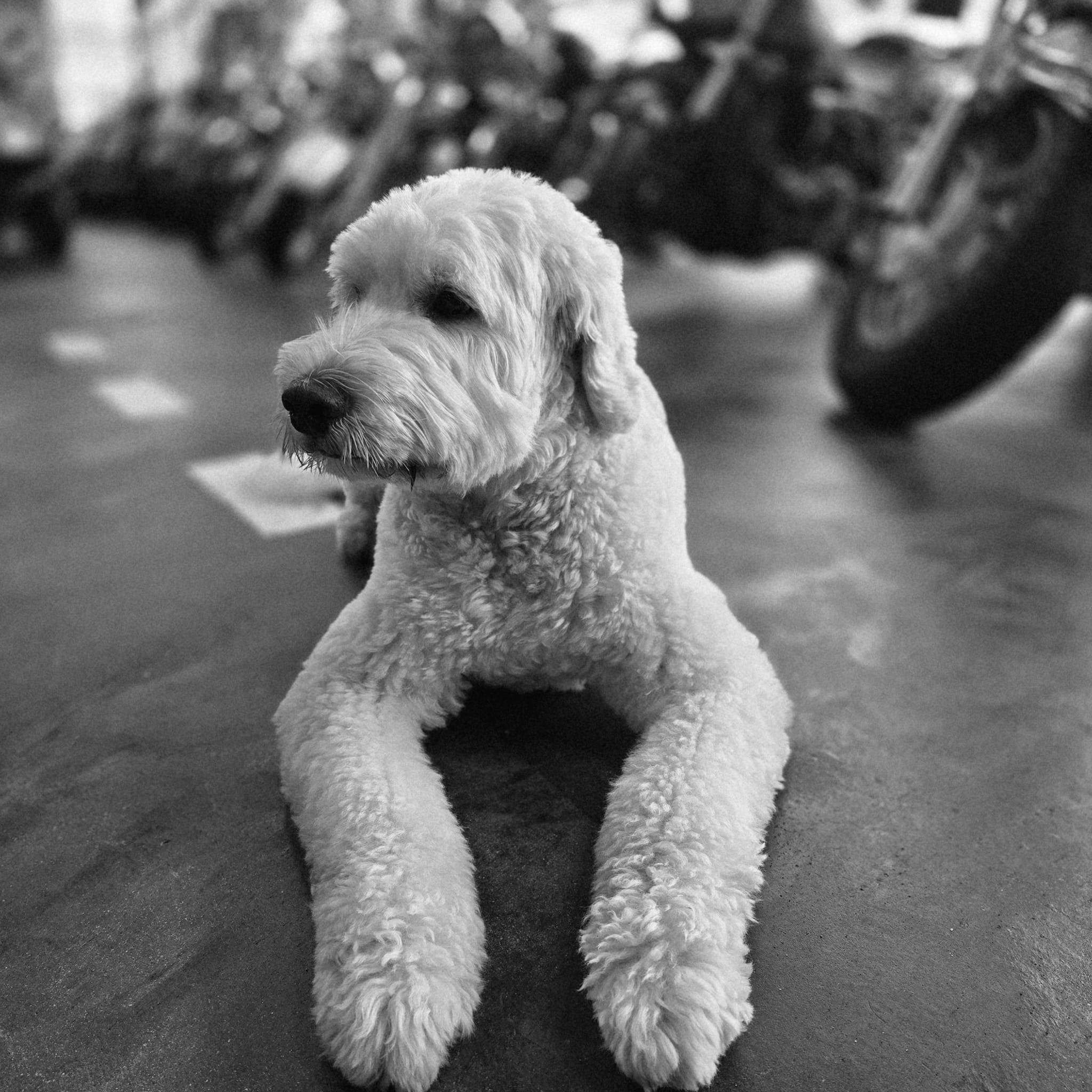 WhatsApp Image 2025-10-23 at 14.22.11